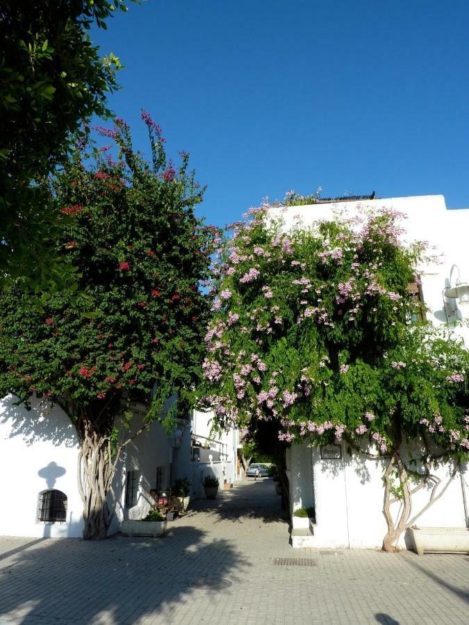 El Malenito Agua Amarga (Almeria) Exterior foto